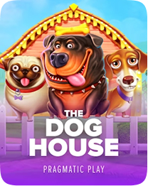 Dog House